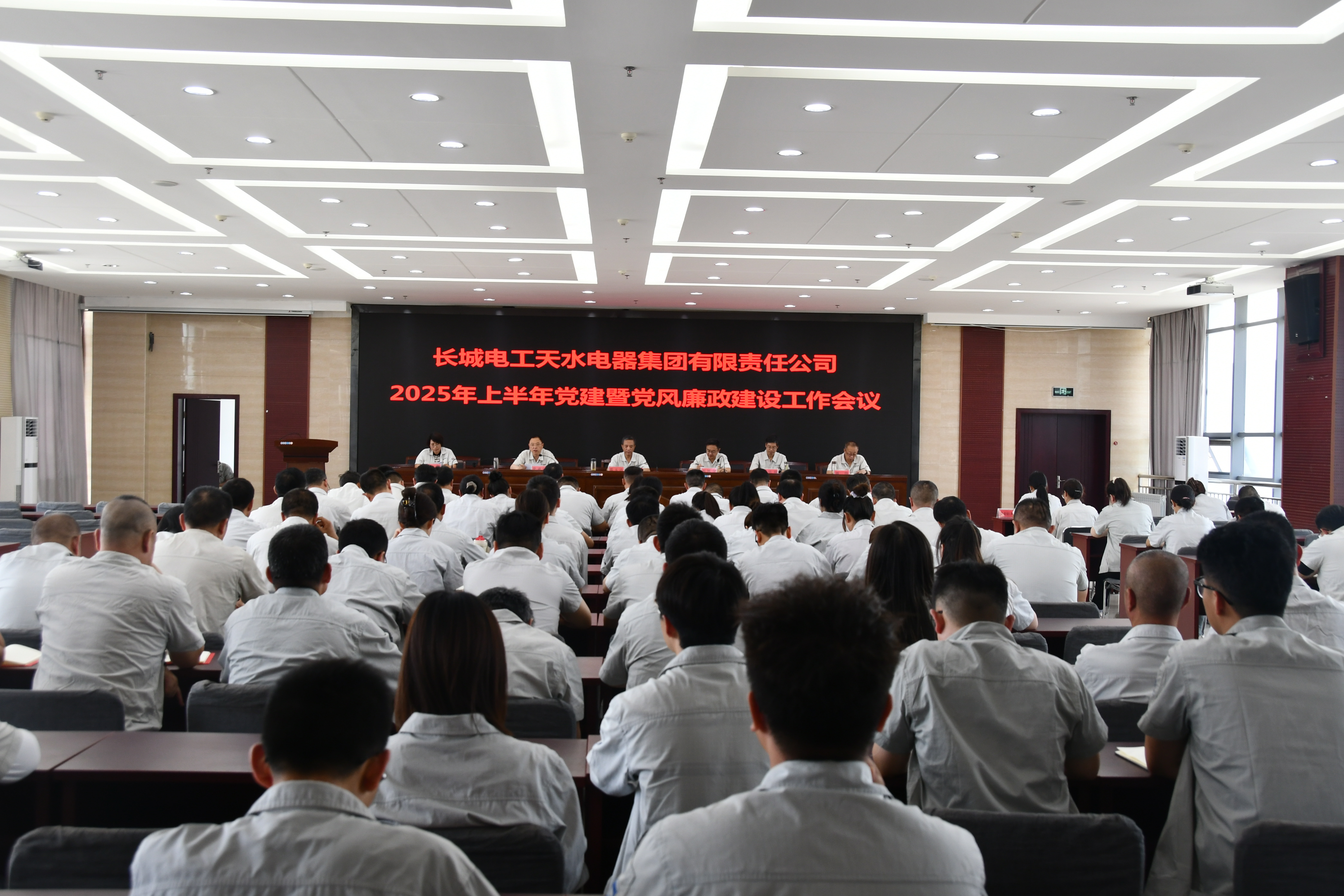 公司党委召开2025年上半年党建和党风廉政建设暨人才工作会议